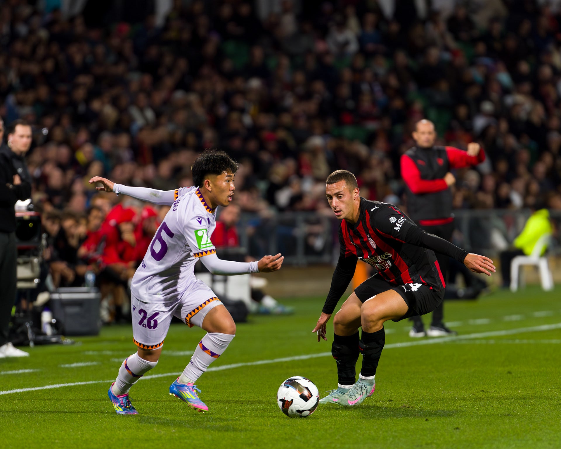 RG Carbon Fiber Signature Shin Pads