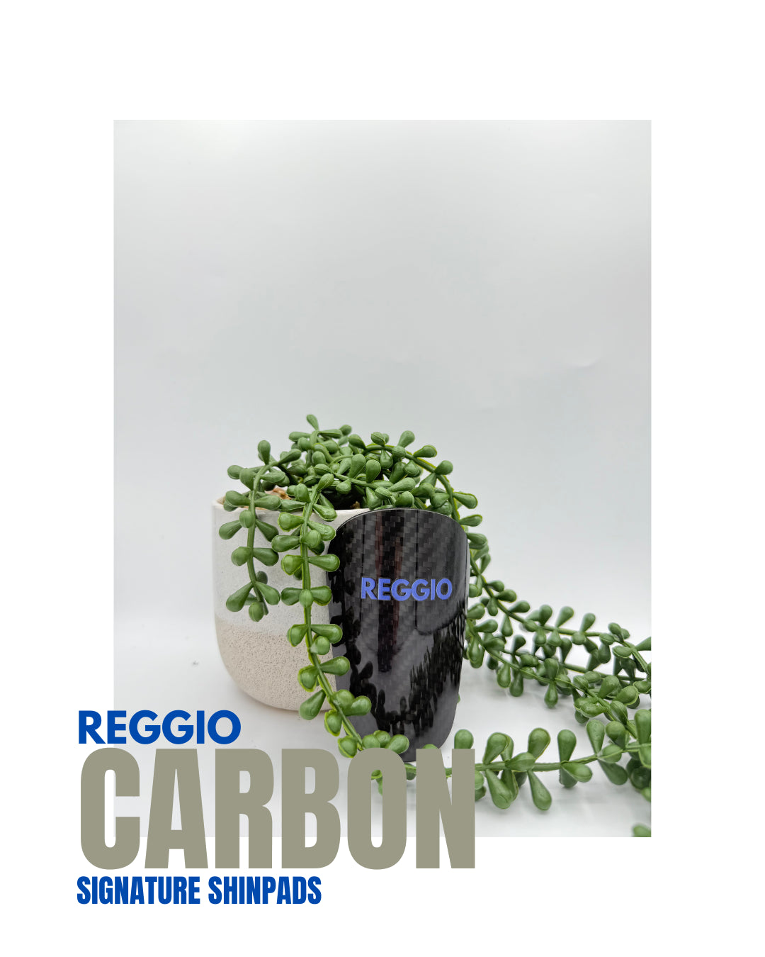 RG Carbon Fiber Signature Shin Pads